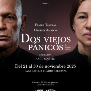 2VP Afiche 01 Dos viejos pánicos